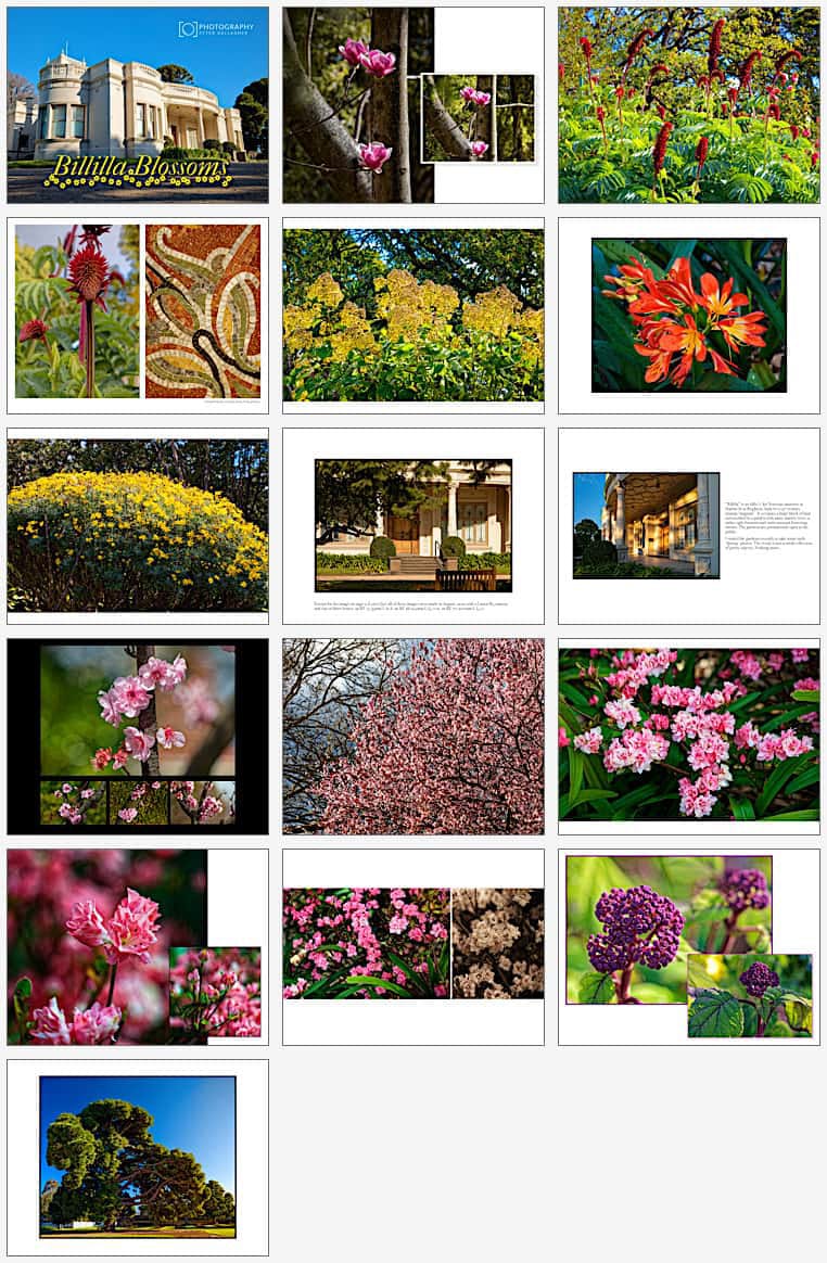 Billilla Blossoms
