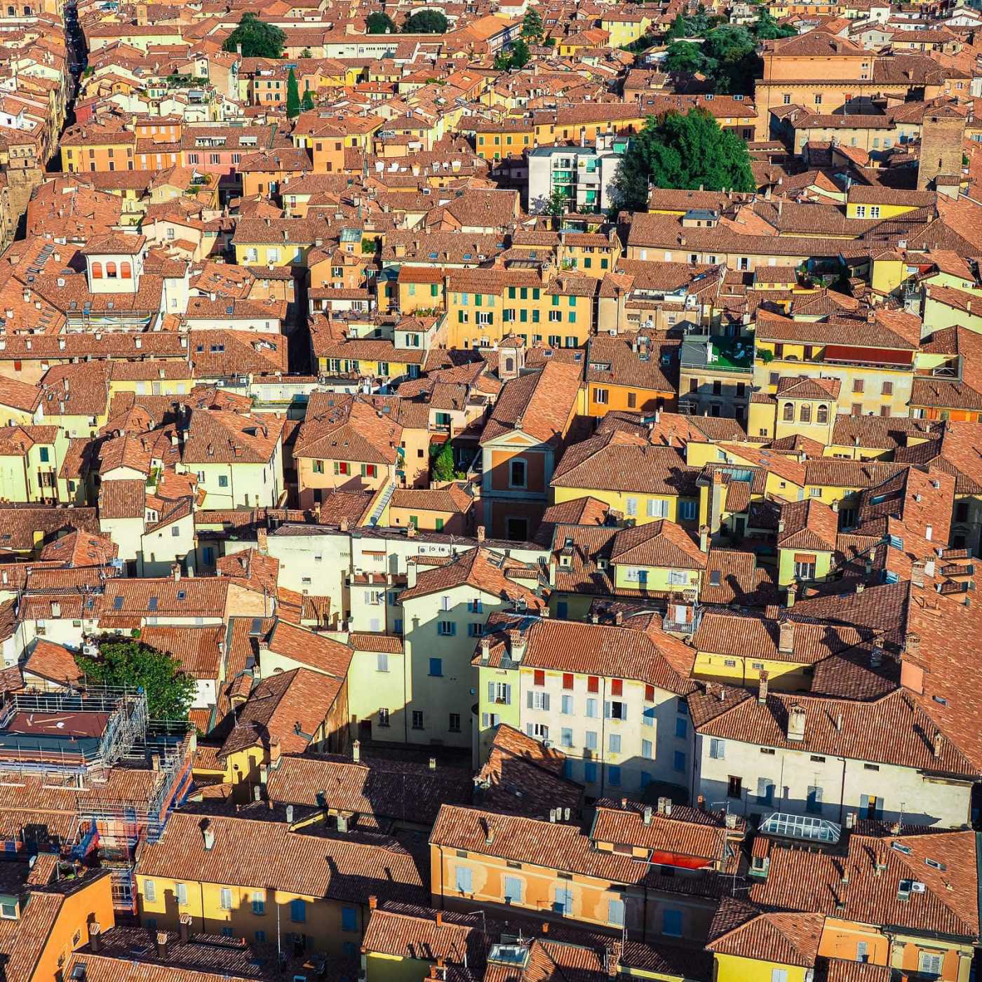 Bologna from the tower