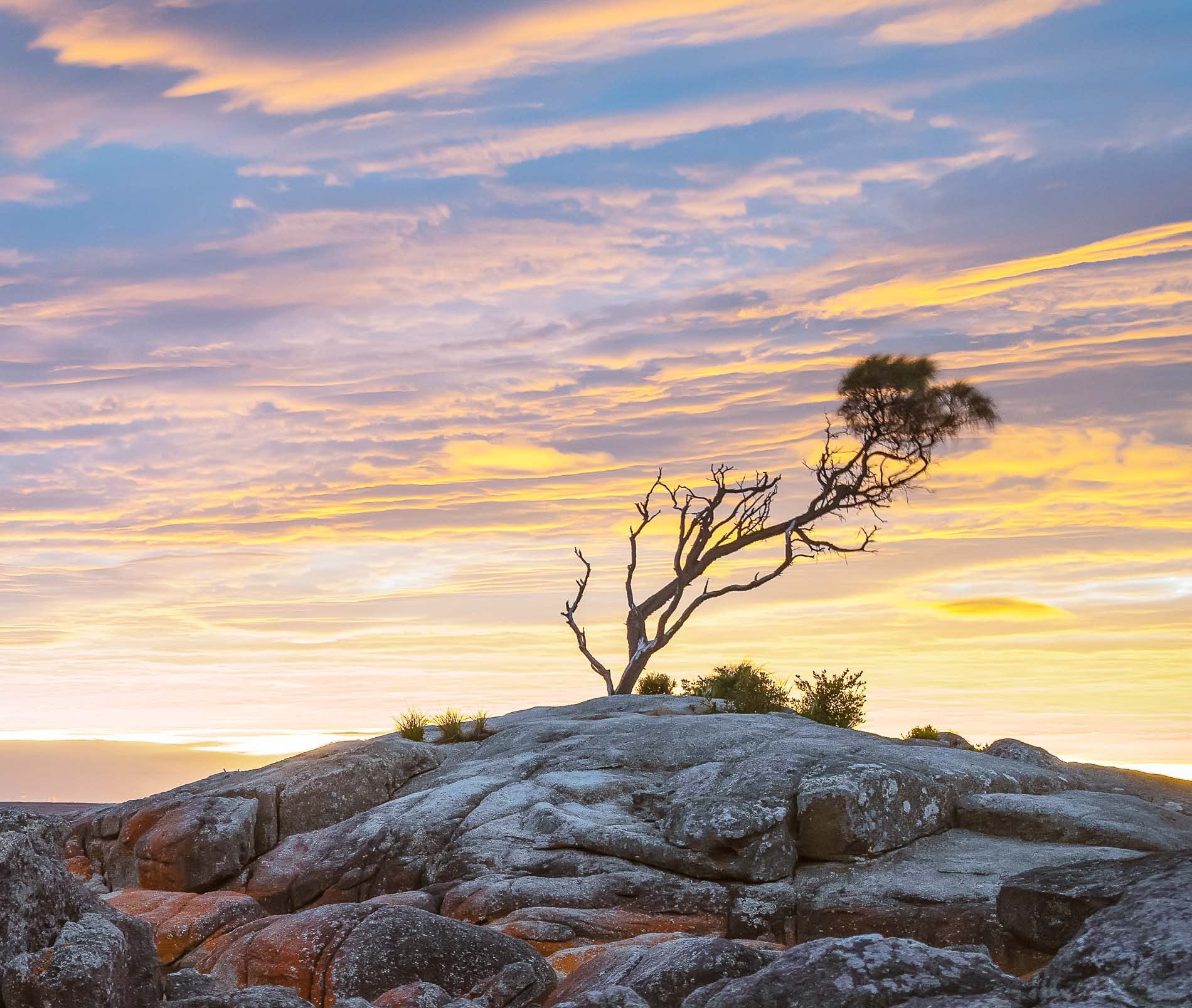 Thumbnail pages from the Bay of Fires photo-book — click to download PDF