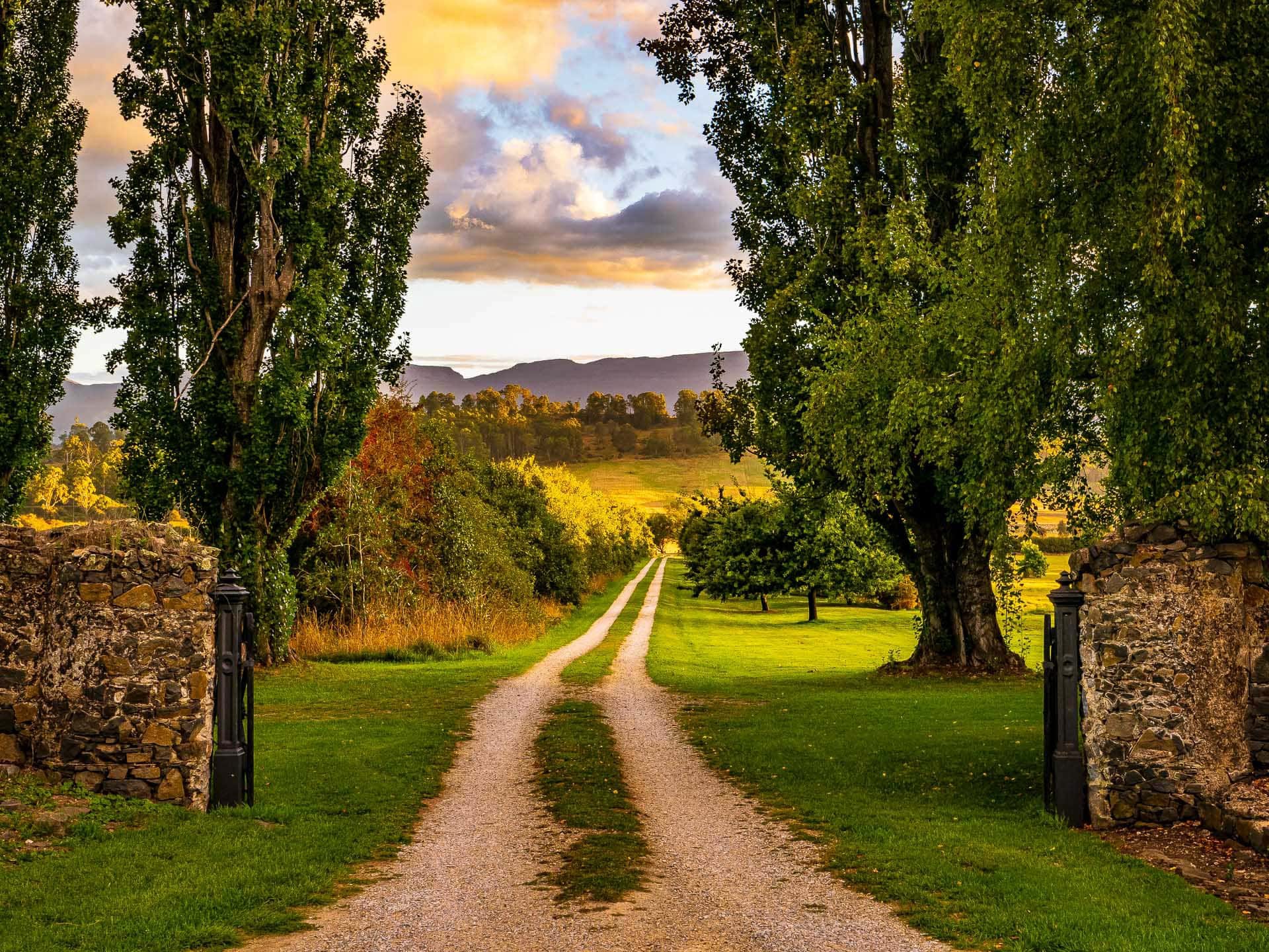 Wesleydale Farm, Tasmania