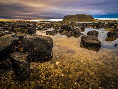 Tasmania - the Tarkine
