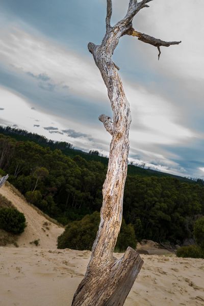Sand - Henty dunes and Macquarie Harbour Tasmania
