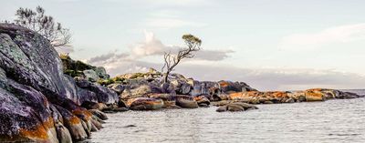 Bay of Fires and Pyengana, Tasmania