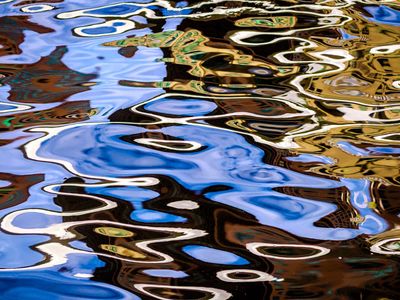 Reflections in the River